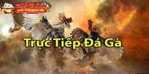 trực tiếp đá gà bình luận viên