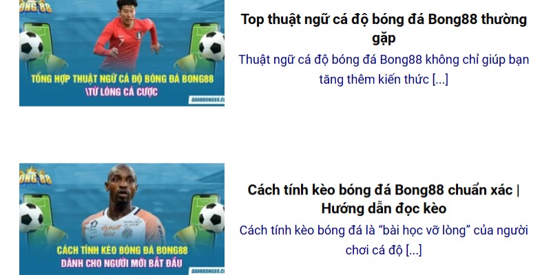 Lý do Bong88 có lượt truy cập tăng chóng mặt dù mới ra mắt